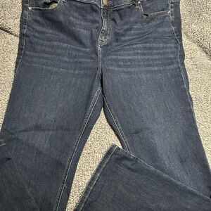 Lane Bryant Dark Blue Flare Jeans